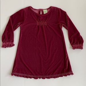 BABYSTYLE Winter Rose Velour Dress 🆕